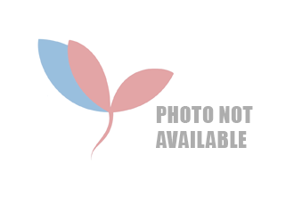 No Photo Available